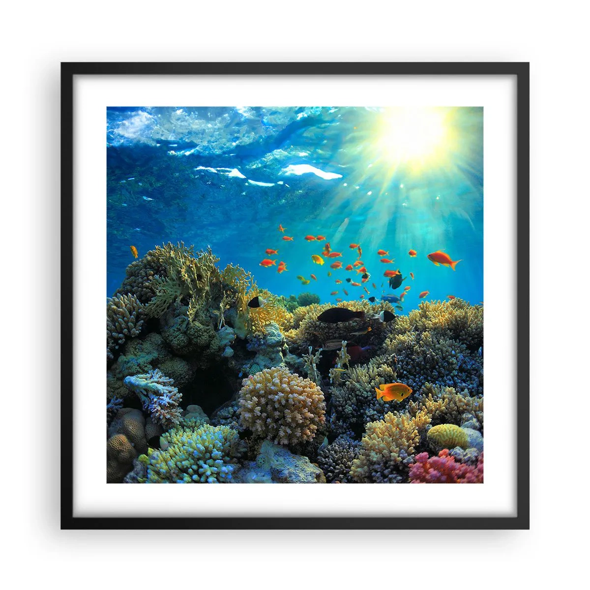 Poster in cornice nera - Tesori sotto al mare - 50x50 cm