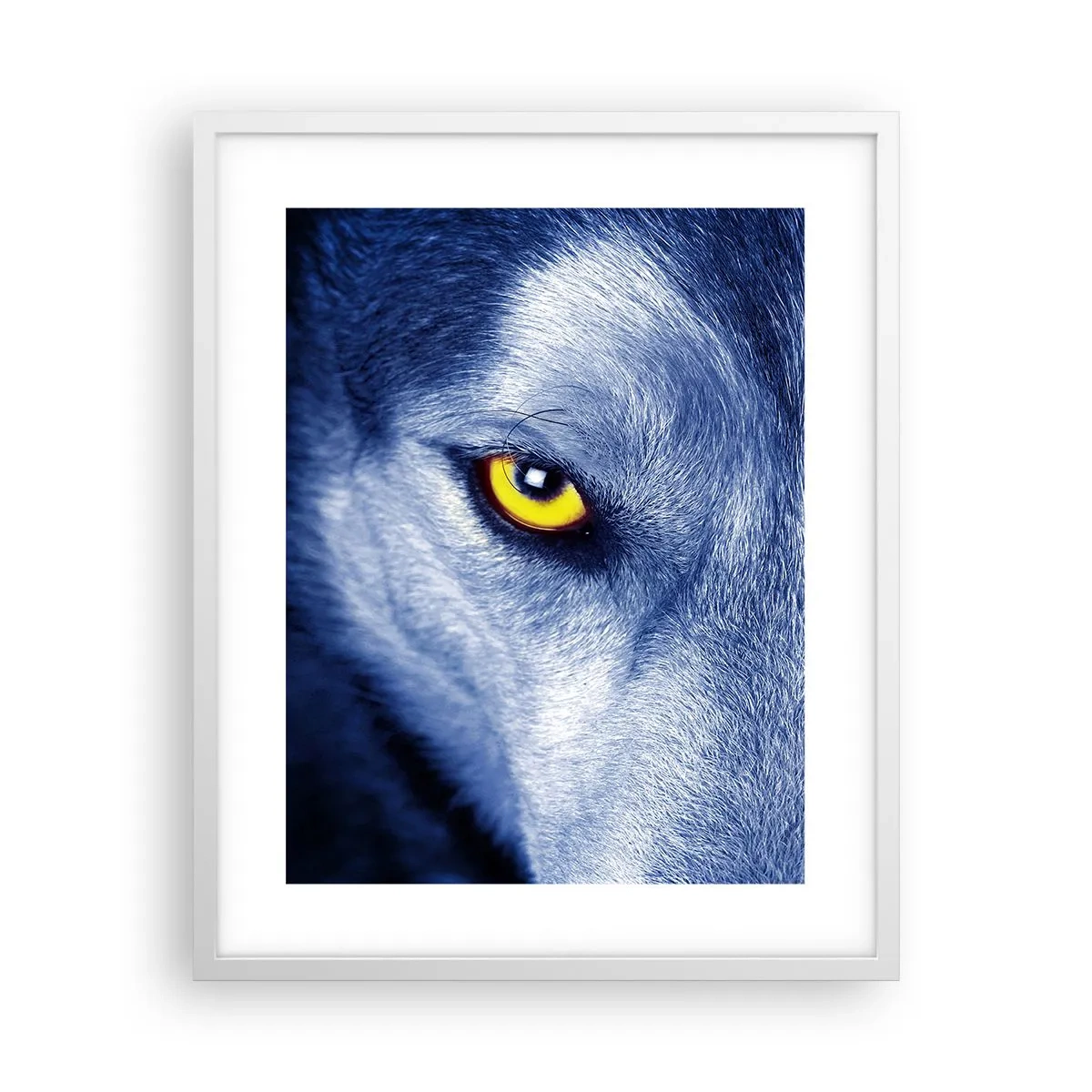 Poster in cornice bianca - Sguardo ipnotico - 40x50 cm