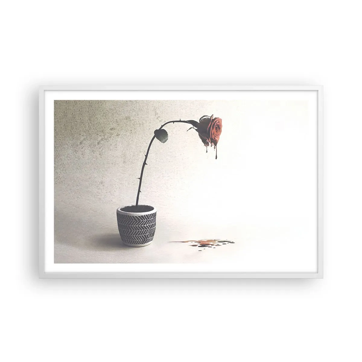 Poster in cornice bianca - Rosa dolorosa - 91x61 cm
