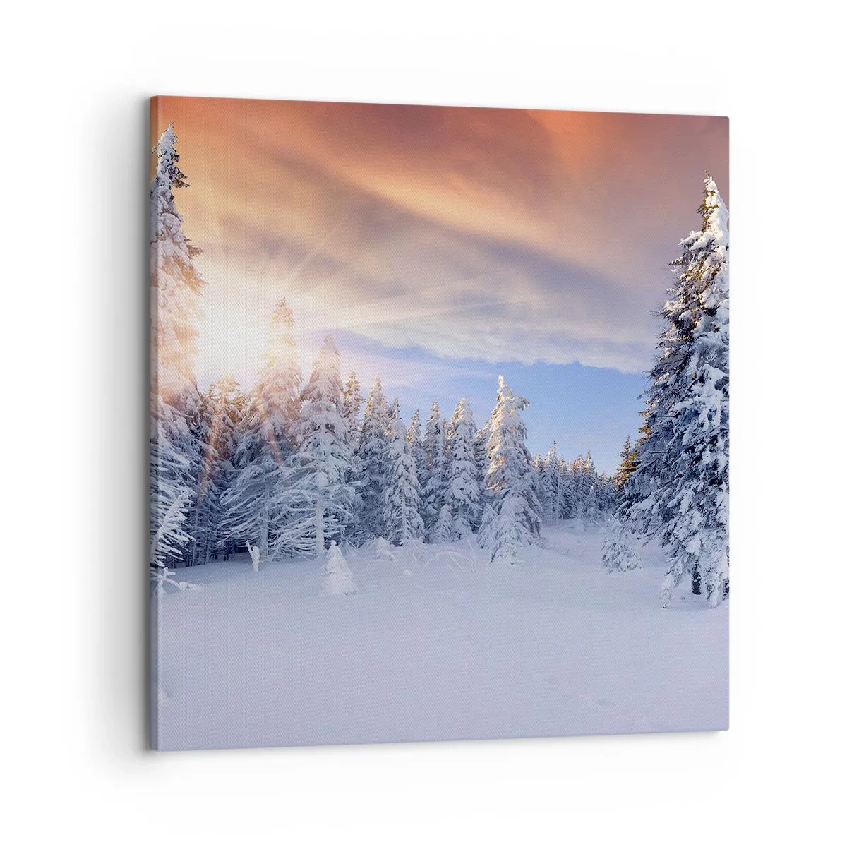 Quadro su tela - Stampe su Tela - Spettacolo innevato della natura - 60x60 cm