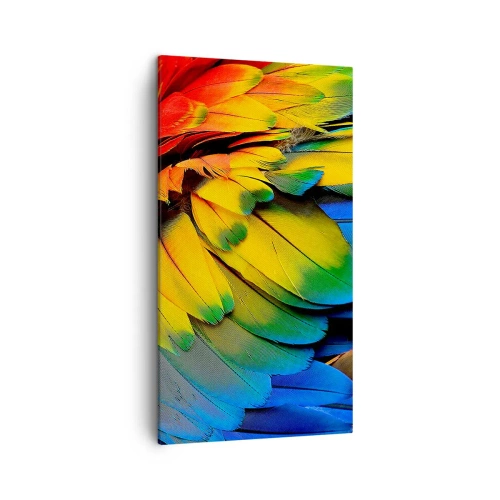 Quadro su tela - Stampe su Tela - L'uccello del paradiso - 45x80 cm