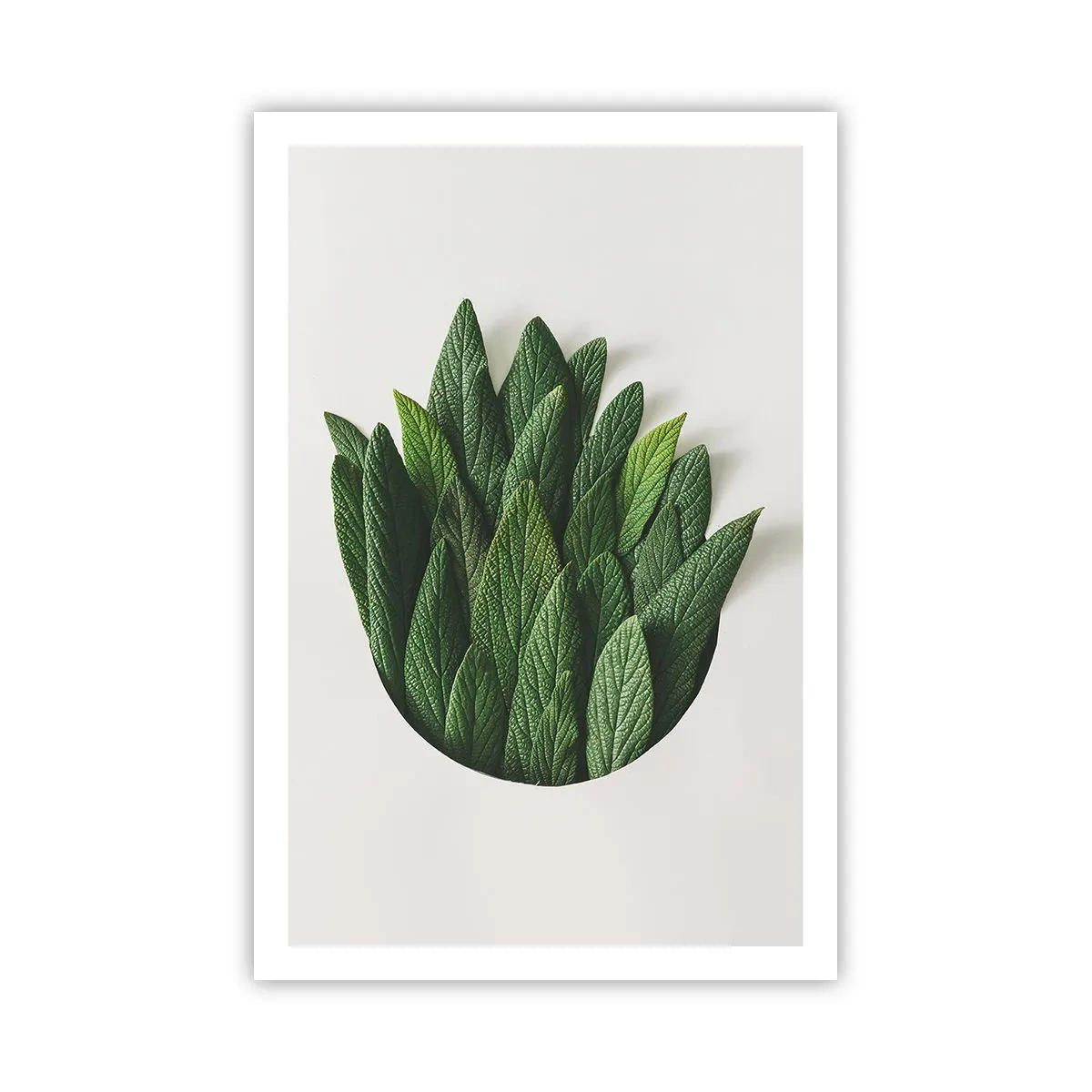 Poster - Curiosità irrefrenabile - 61x91 cm