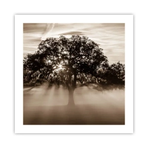 Poster - L'albero delle sole buone notizie - 50x50 cm
