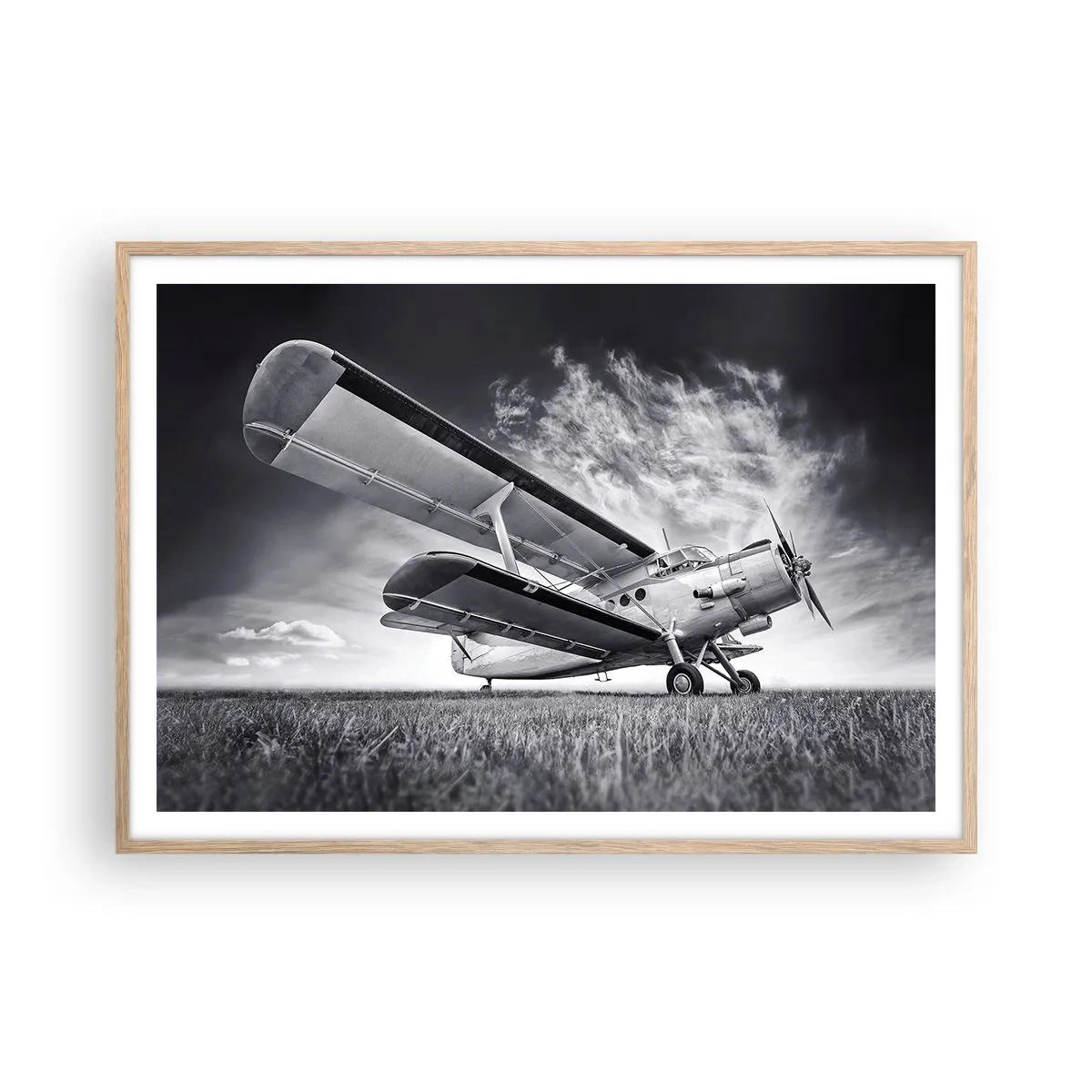 Poster in cornice rovere chiaro - Giramondo alato - 100x70 cm