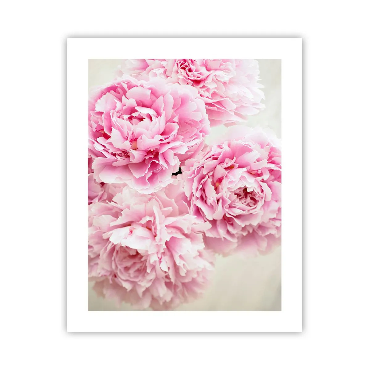 Poster - Nel fasto rosa - 40x50 cm