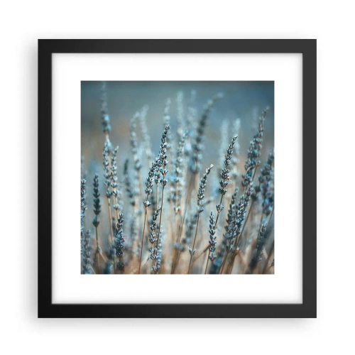 Poster in cornice nera - Campo profumato - 30x30 cm