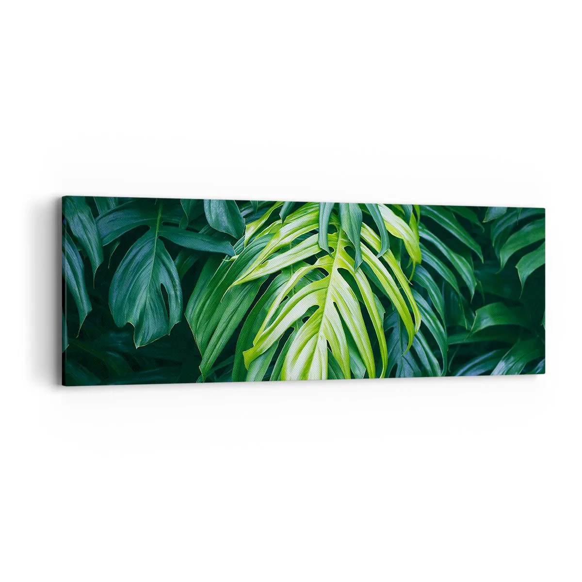 Quadro su tela - Stampe su Tela - Immergersi nella freschezza - 90x30 cm