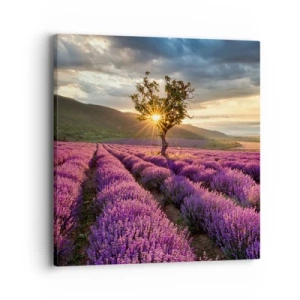 Quadro su tela - Stampe su Tela - Aroma di colore lilla - 40x40 cm