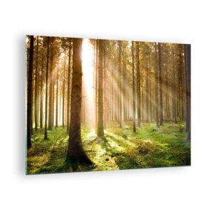 Quadro su vetro - Raggi di sole che penetrano attraverso gli alberi nella foresta - 70x50cm - Adesso appaiono gli elfi - Decorazione murale moderna per soggiorno e camera da letto ARTTOR