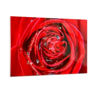 Quadro su vetro - Primo piano di una rosa rossa con gocce di rugiada - 120x80cm - Nelle gocce della rugiada - Decorazione murale moderna per soggiorno e camera da letto ARTTOR