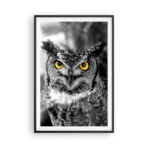 Poster in cornice nera - Non si può nascondere niente - 61x91 cm