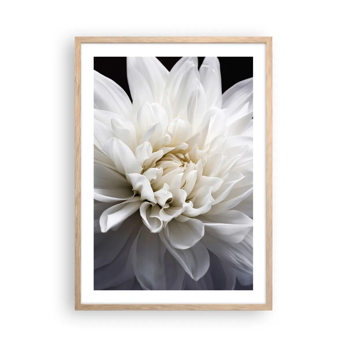Poster in cornice rovere chiaro - Il mattino della sposa - 50x70 cm