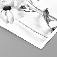 Senza cornice
