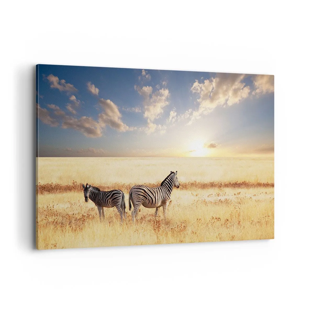 Quadro su tela - Stampe su Tela - Due zebre nella savana sotto i raggi del sole al tramonto - 120x80cm - Allontanati, non disturbare - Decorazione murale moderna per soggiorno e camera da letto ARTTOR