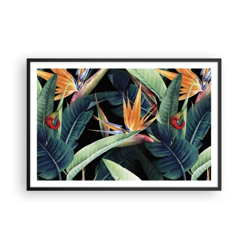 Poster in cornice nera - I fiori fiammeggianti dei tropici - 91x61 cm