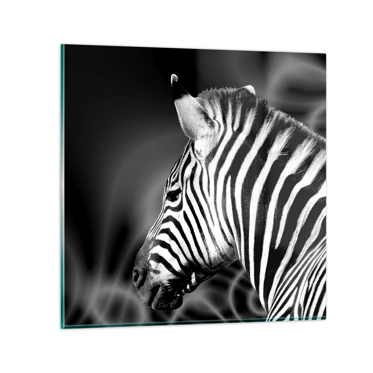 Quadro su vetro - Il bianco è bianco, il nero è nero - 60x60 cm