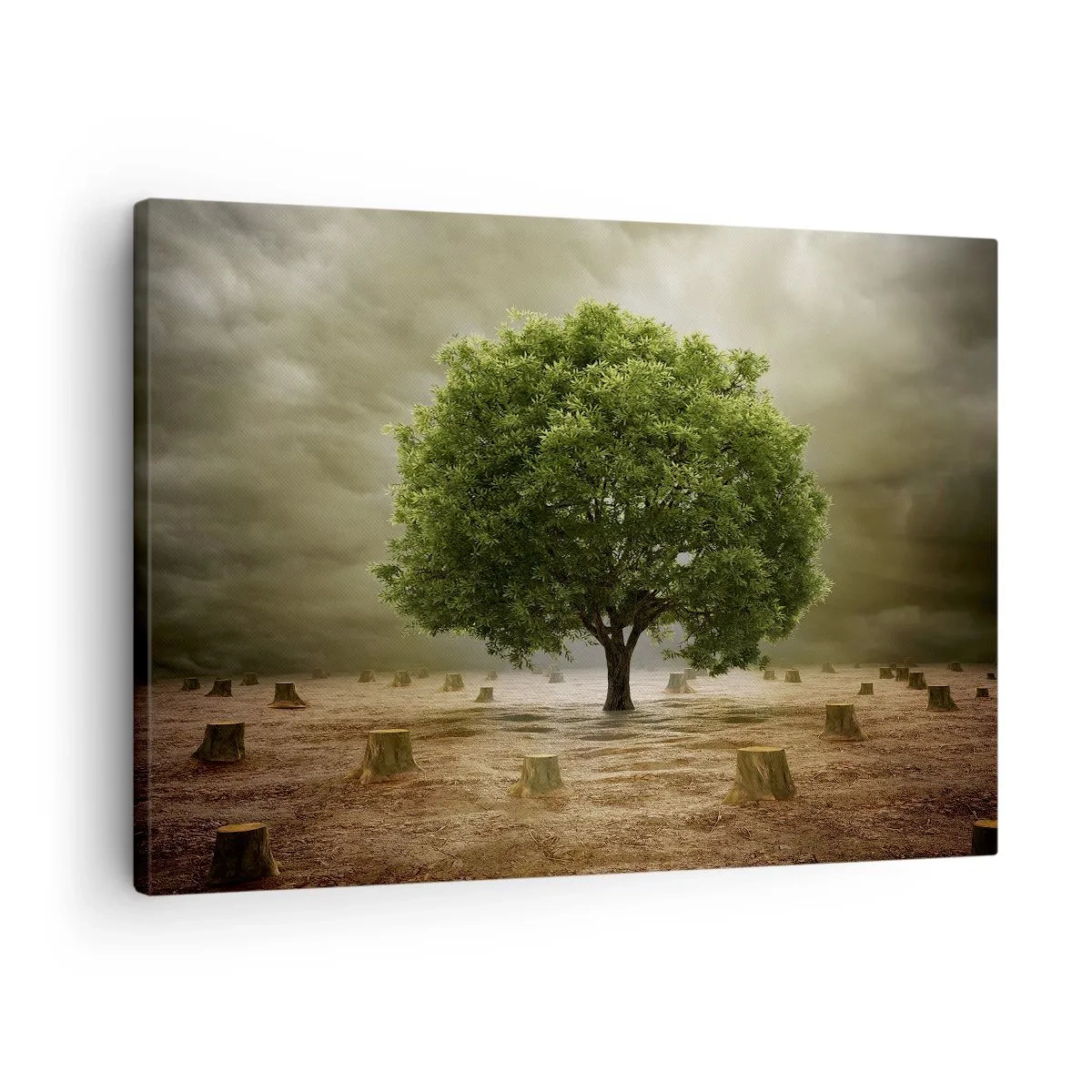 Quadro su tela - Stampe su Tela - Un albero verde circondato da tronchi d'albero abbattuti contro un cielo nuvoloso - 70x50cm - Ogni speranza - Decorazione murale moderna per soggiorno e camera da letto ARTTOR