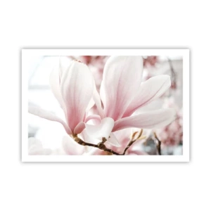 Poster - Tenerezza senza fine - 91x61 cm