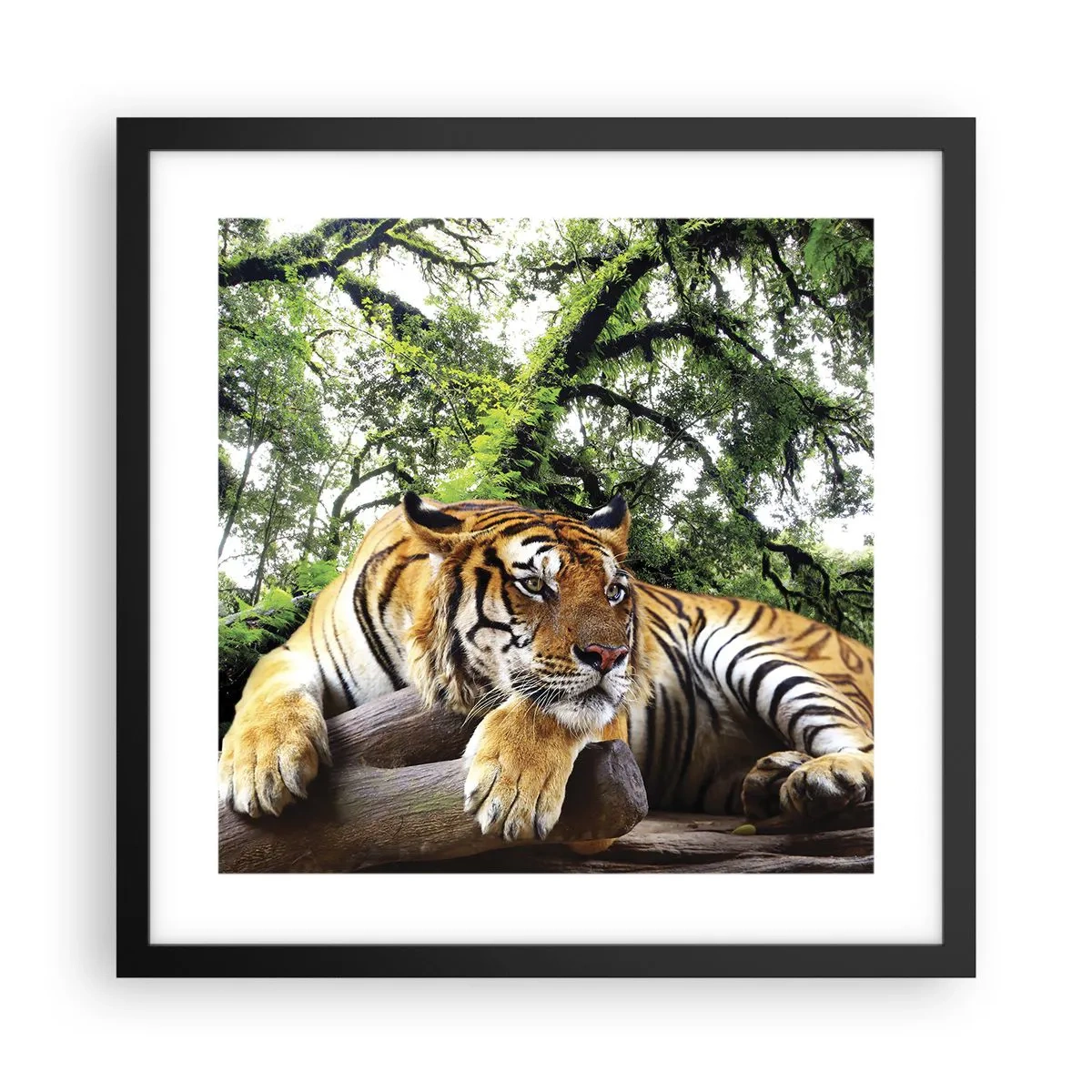 Poster in cornice nera - Con espressioni di stima - 40x40 cm