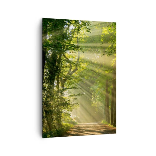 Quadro su tela - Stampe su Tela - Sentiero nel bosco con raggi di sole che brillano attraverso gli alberi - 70x100cm - Un attimo nel bosco - Decorazione murale moderna per soggiorno e camera da letto ARTTOR