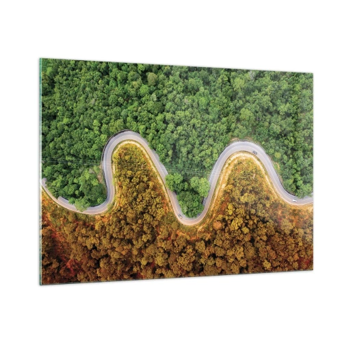Quadro su vetro - Una strada tortuosa attraverso una fitta foresta vista a volo d'uccello - 100x70cm - Confine e separazione - Decorazione murale moderna per soggiorno e camera da letto ARTTOR