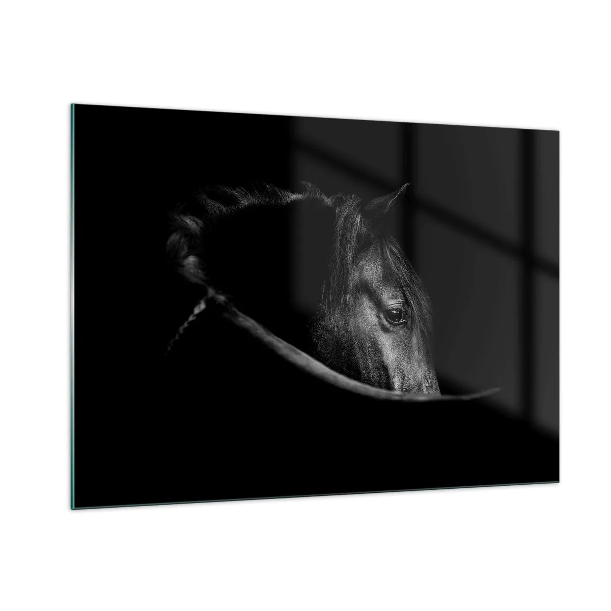 Quadro su vetro - Profilo di un cavallo nero in ombra con un occhio visibile - 100x70cm - Il principe nero - Decorazione murale moderna per soggiorno e camera da letto ARTTOR