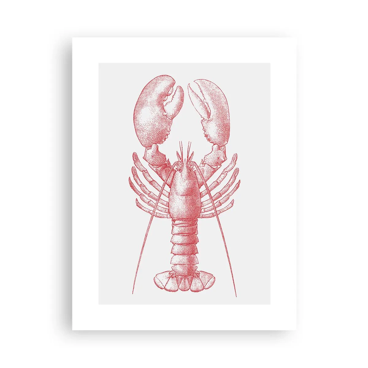 Poster - Aragosta d'agosto - 30x40 cm