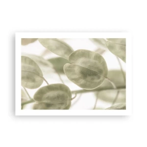 Poster - All'inizio vi erano le foglie... - 70x50 cm