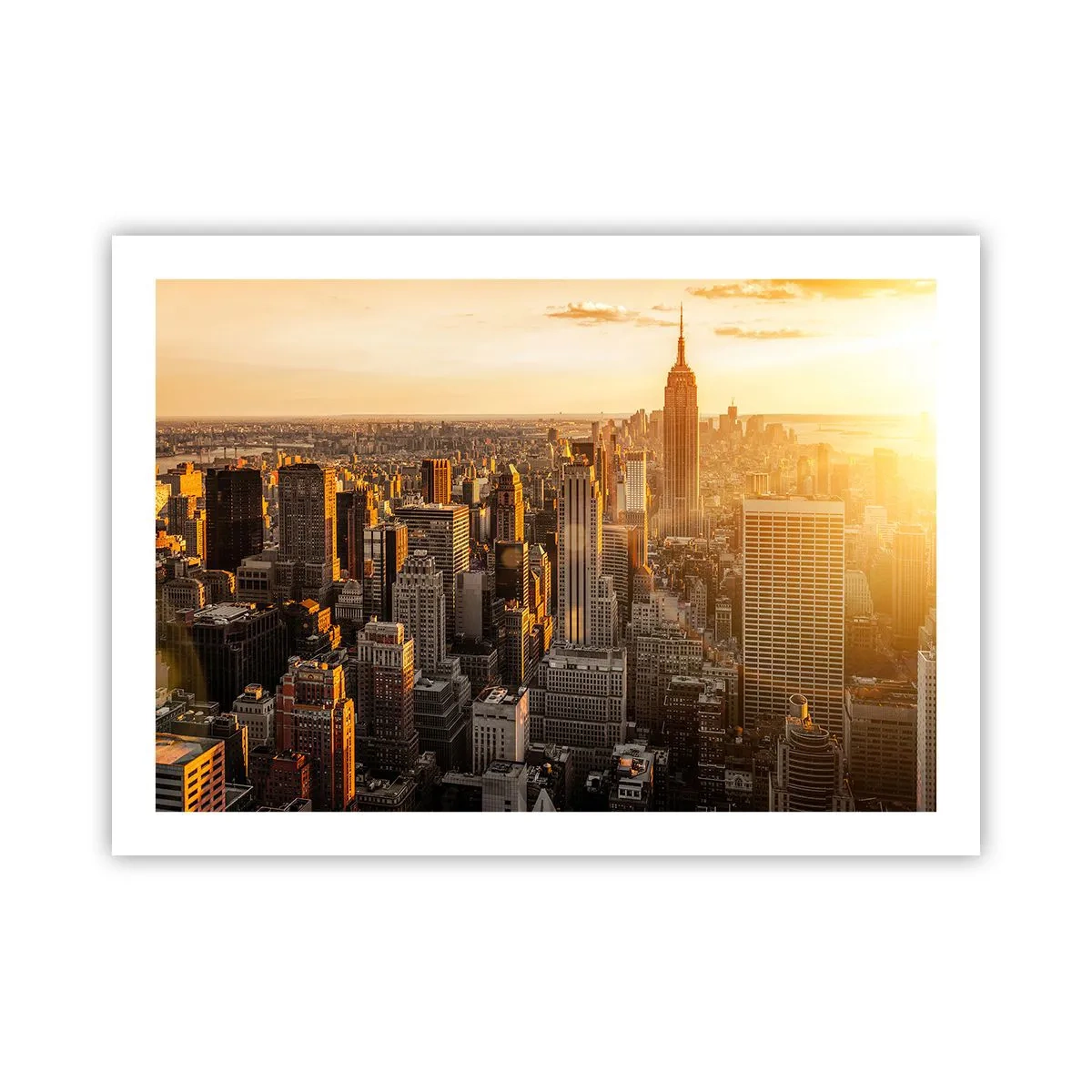 Poster - Crescere al sole - 70x50 cm
