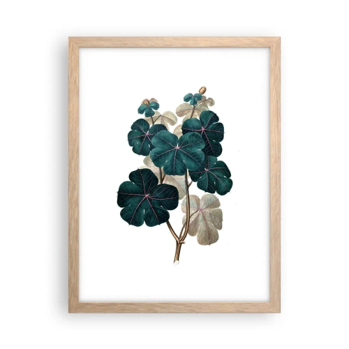 Poster in cornice rovere chiaro - Dal vecchio erbario - 30x40 cm