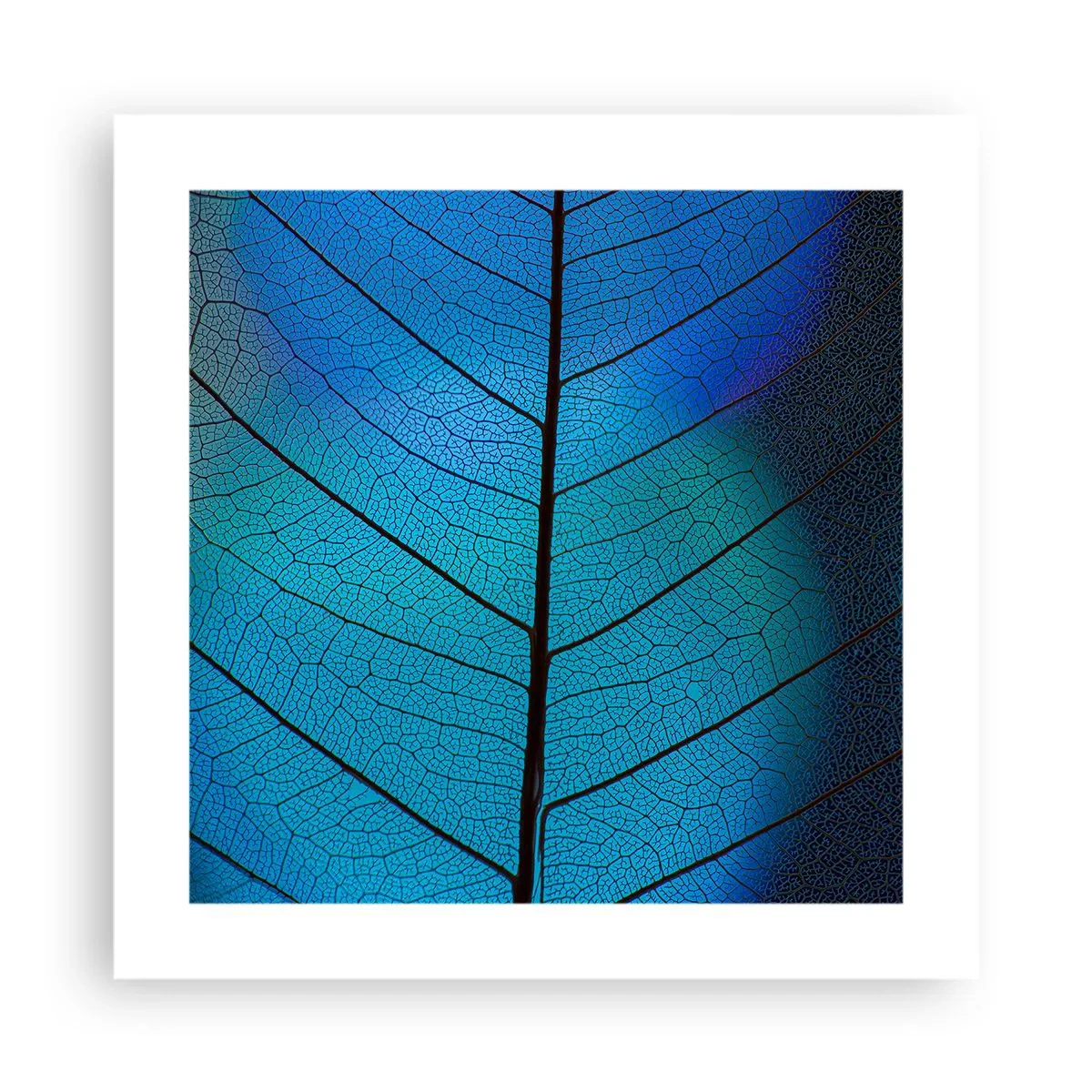 Poster - Struttura intricata - 40x40 cm