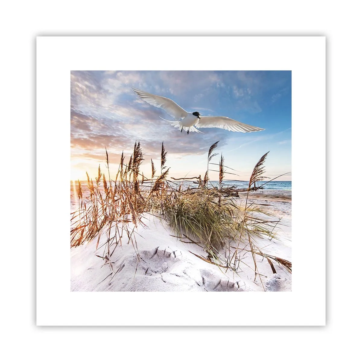Poster - Vento dal mare - 30x30 cm