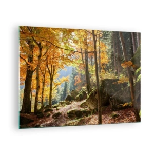 Quadro su vetro - Foresta autunnale con raggi di sole e pietre - 70x50cm - Il tempo del riposo - Decorazione murale moderna per soggiorno e camera da letto ARTTOR