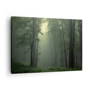 Quadro su tela - Stampe su Tela - Una foresta verde al mattino avvolta in una delicata nebbia - 70x50cm - Prima che si svegli - Decorazione murale moderna per soggiorno e camera da letto ARTTOR
