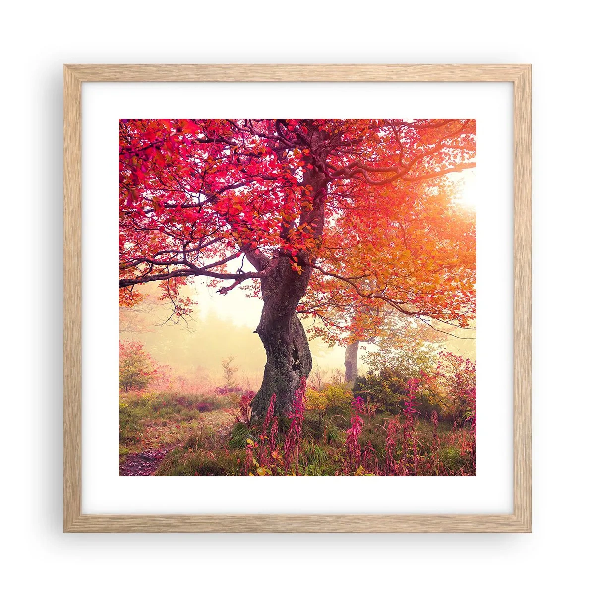 Poster in cornice rovere chiaro - L'esplosione della fioritura - 40x40 cm