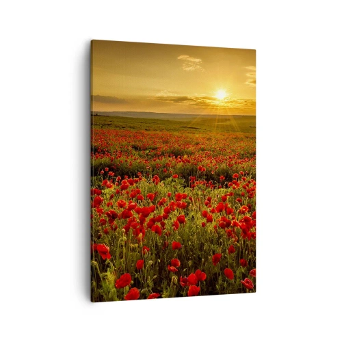 Quadro su tela - Stampe su Tela - Un campo di papaveri rossi al chiarore del sole al tramonto - 50x70cm - Tra il fruscio delle erbe, in un'esplosione di fiori - Decorazione murale moderna per soggiorno e camera da letto ARTTOR