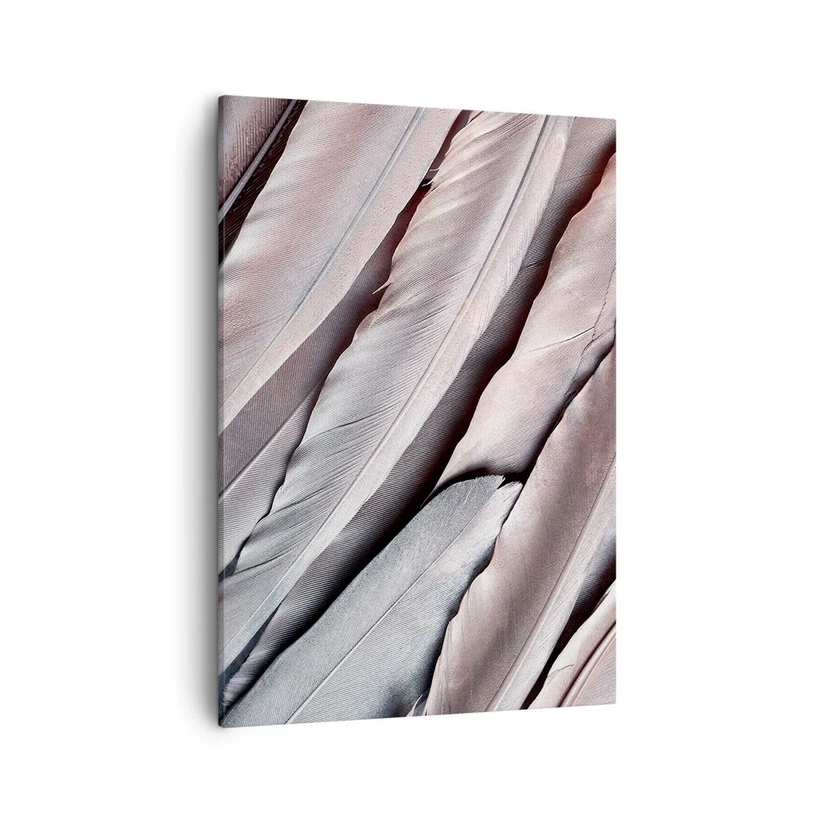 Quadro su tela - Stampe su Tela - Piume delicate in sottili tonalità di grigio e beige - 50x70cm - Argento rosato - Decorazione murale moderna per soggiorno e camera da letto ARTTOR