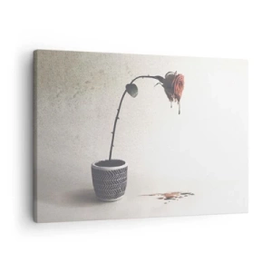 Quadro su tela - Stampe su Tela - Una rosa rossa in un vaso con gocce di tintura su uno sfondo bianco - 70x50cm - Rosa dolorosa - Decorazione murale moderna per soggiorno e camera da letto ARTTOR