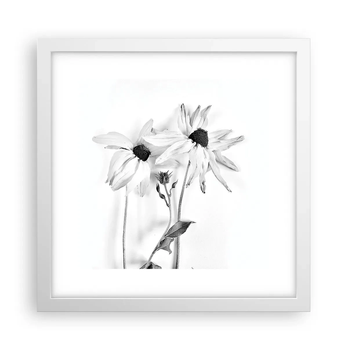 Poster in cornice bianca - Nessuno vuole essere solo - 30x30 cm