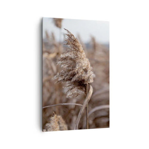 Quadro su tela - Stampe su Tela - Delicate erbe nelle tonalità del beige sullo sfondo della natura - 80x120cm - è tempo di volare col vento - Decorazione murale moderna per soggiorno e camera da letto ARTTOR