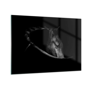 Quadro su vetro - Profilo di un cavallo nero in ombra con un occhio visibile - 70x50cm - Il principe nero - Decorazione murale moderna per soggiorno e camera da letto ARTTOR