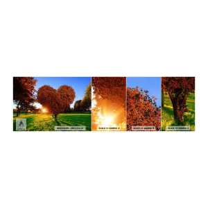 Campione di Fotomurale Adesivo Deluxe Sticker - Come non amare l'autunno - Paesaggio, Albero, Raggi del sole - 100x30 cm