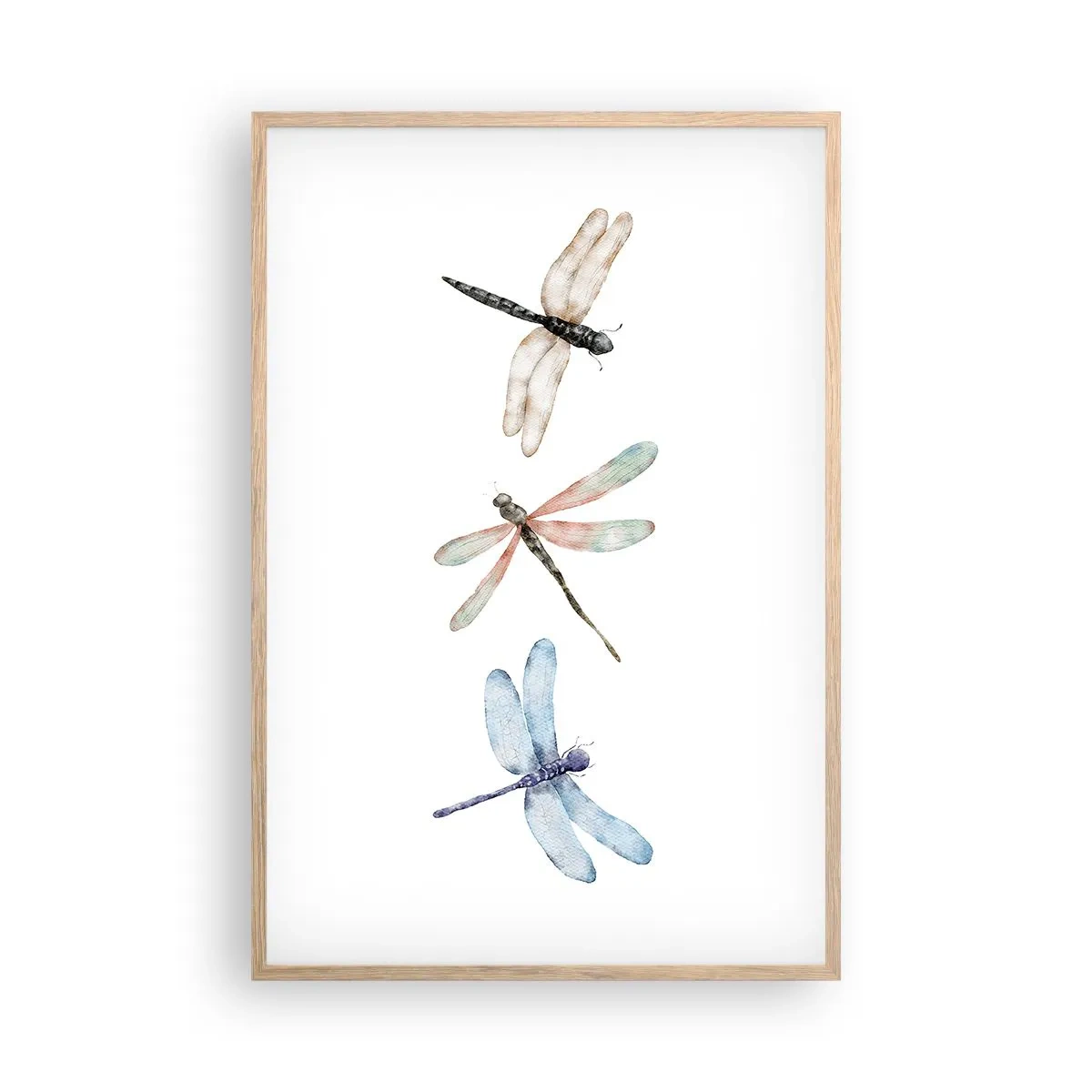 Poster in cornice rovere chiaro - Libellule senza peso - 61x91 cm