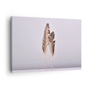 Quadro su tela - Stampe su Tela - Piume delicate su uno sfondo chiaro in stile minimalista - 70x50cm - Contro il nulla - Decorazione murale moderna per soggiorno e camera da letto ARTTOR
