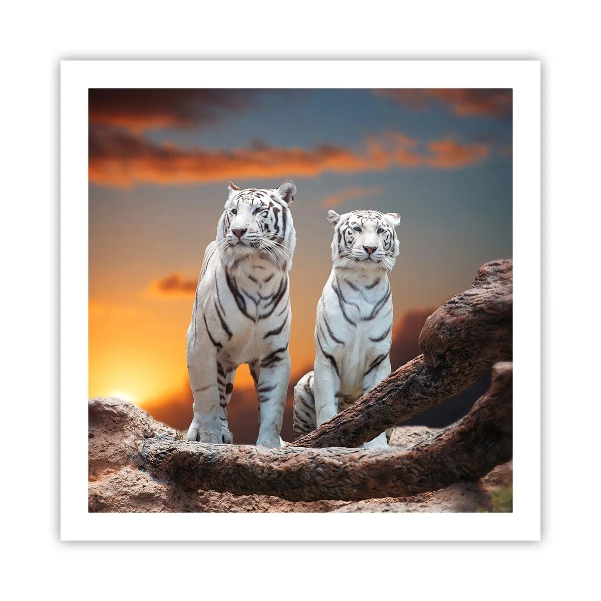 Poster - Proprio come a Narnia - 60x60 cm