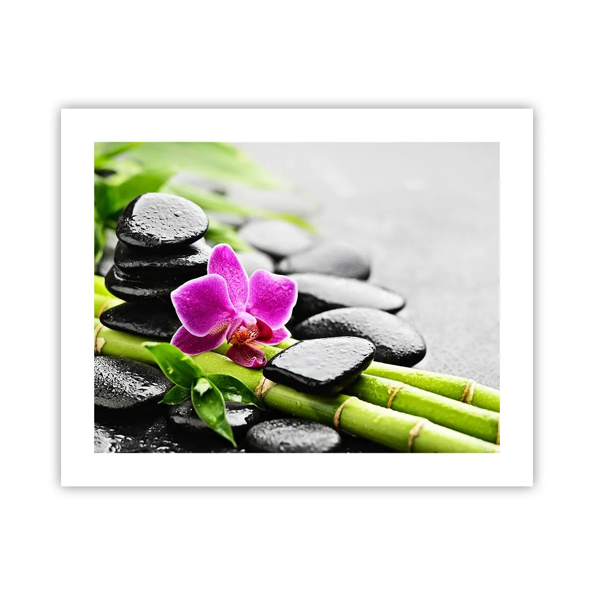 Poster - Un tranquillo equilibrio - 50x40 cm