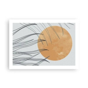 Poster - Sempre verso il sole - 70x50 cm