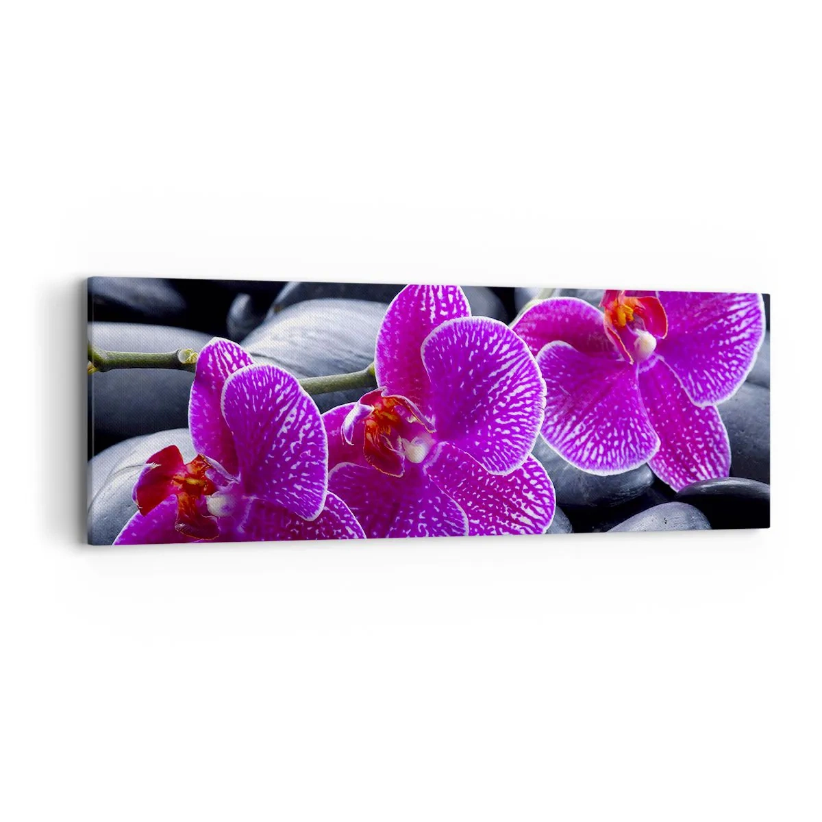 Quadro su tela - Stampe su Tela - Le pietre brillano di ammirazione - 90x30 cm