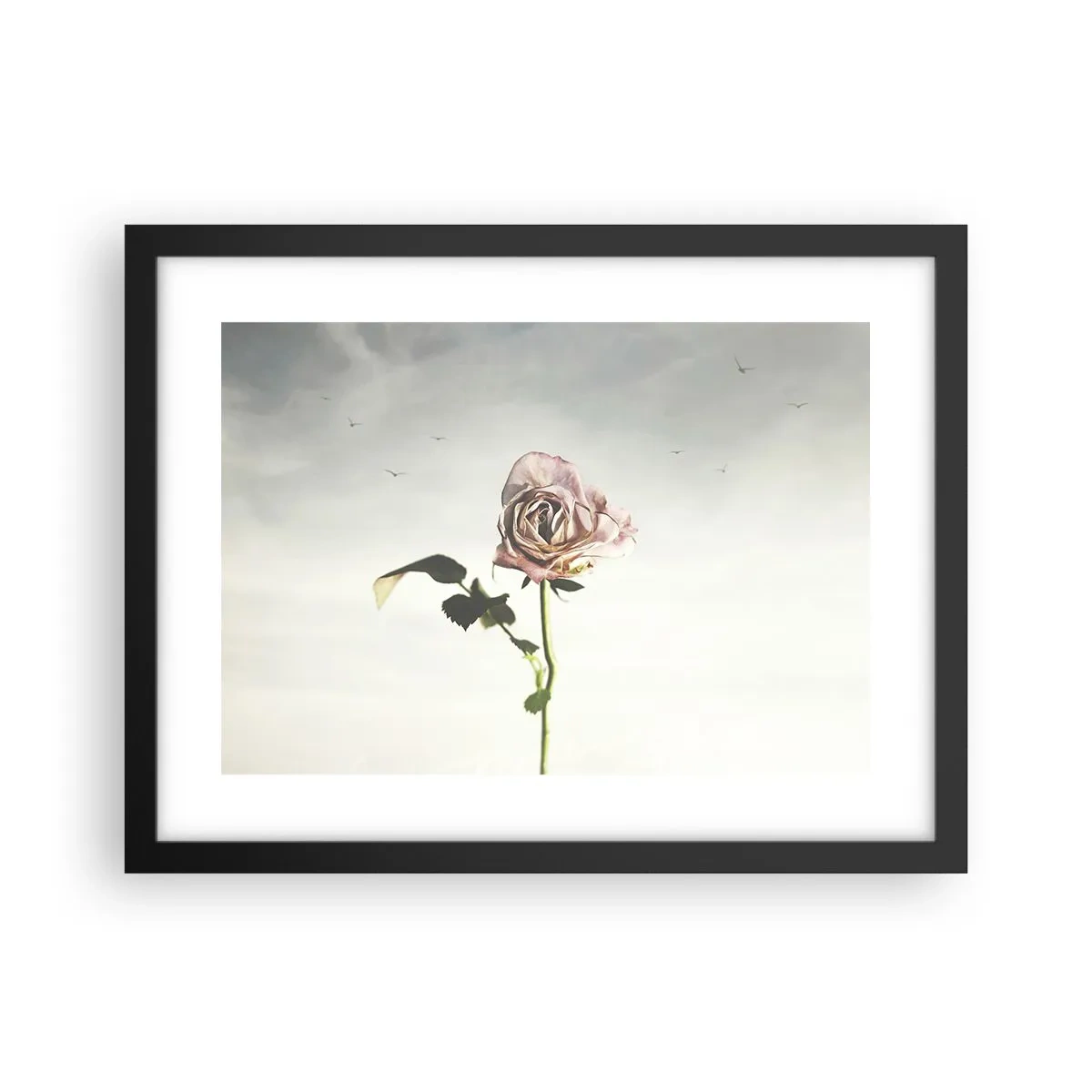 Poster in cornice nera - Il benvenuto alla primavera - 40x30 cm