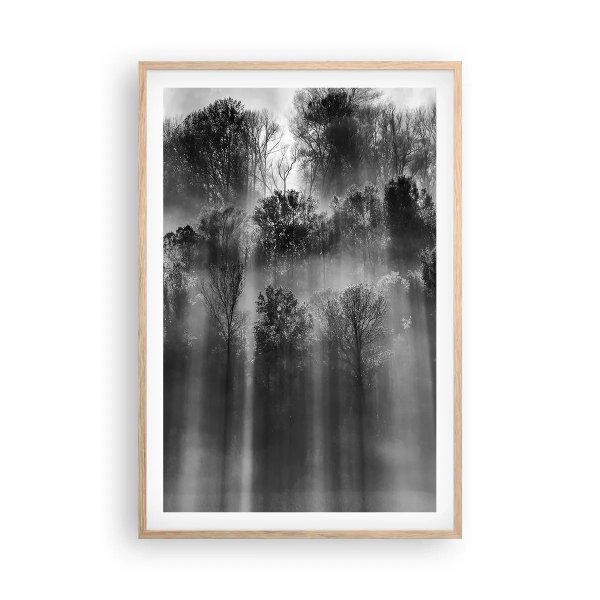 Poster in cornice rovere chiaro - Nei getti di luce - 61x91 cm